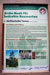 Tafel Arterhaltungsfl&auml;che Abies nebrodensis (Miniatur)