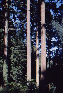Bild-22