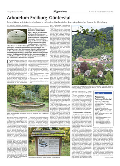 holz-zentralblatt 2011 Nov nr.47 Seite 1 400