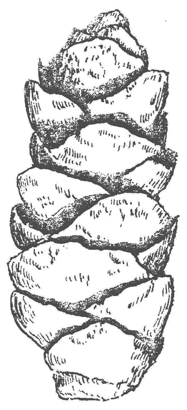 Abb 2